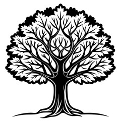 Obraz premium Elegant Black Walnut Tree Illustration with Strong Outline