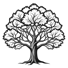 Obraz premium Captivating Camphor Tree Illustration