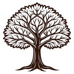 Obraz premium Creative Carob Tree Bold Design