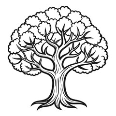  Distinctive Cashew Tree Illustration Art