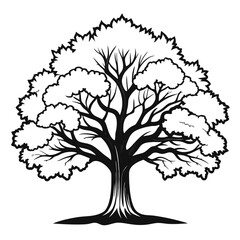 Obraz premium Charming Chinquapin Oak Tree Design Featuring Bold Outline