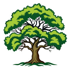 Obraz premium Charming Coast Live Oak Tree Design Featuring Bold Outline