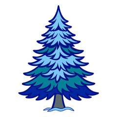  Elegant Colorado Blue Spruce Design with Bold Outline