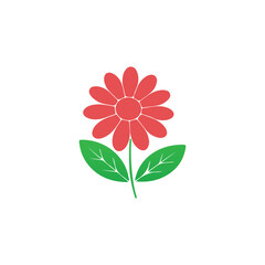 vector illustration of a daisy  flower