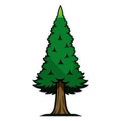  Elegant Cypress Tree Illustration Design