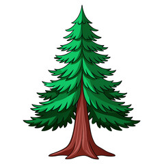  Charming Douglas Fir Tree Illustration Art