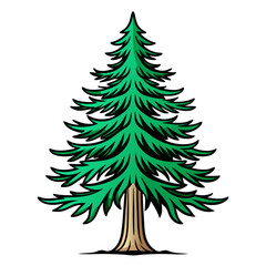  Elegant Douglas Fir Tree Illustration Design