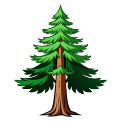  Impressive Douglas Fir Tree Vector Design