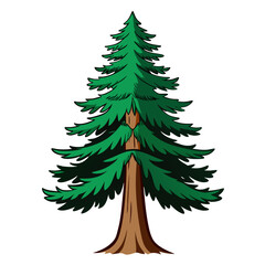 Fototapeta premium Captivating Douglas Fir Tree Illustration
