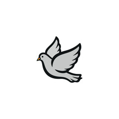 white dove on white background