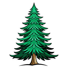  Striking Fraser Fir Tree Artwork on White