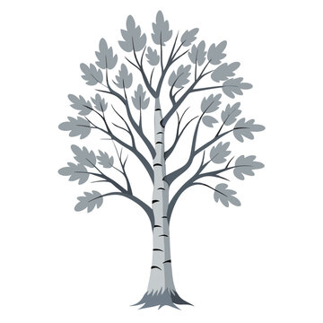 gray birch tree graphic on white clip art preview