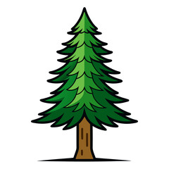  Bold Lodgepole Pine Tree Illustration Design