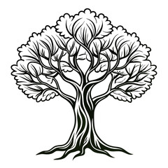 Obraz premium Charming Olive Tree Illustration with Strong Outlines