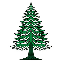  Vivid Pine Tree Illustration