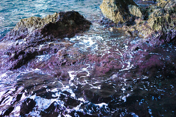 Authentic Italian Streets – Timeless Scenes of Everyday Life. Candid and atmospheric images of Italian streets capturing the charm, color, and character of everyday life. Featur