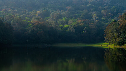 Beautiful lake and lust green forest of Periyar National Park and Wildlife Sanctuary from Kerala, India.