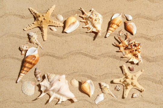 Frame made of different sea shells on sand