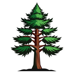  Elegant Slash Pine Tree Design