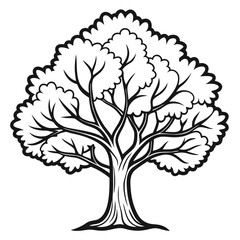  Elegant Slippery Elm Tree Artwork