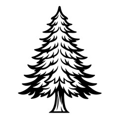  Elegant Spruce Tree Bold Design