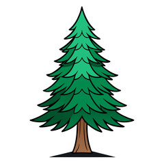  Bold Outline of Spruce Tree