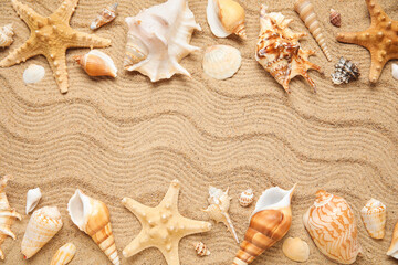 Many different sea shells and starfish on sand