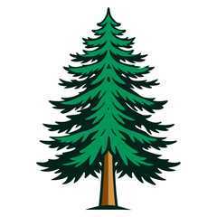  Stunning Bold Design of Virginia Pine Tree
