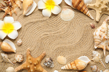 Frame made of different sea shells and flowers on sand
