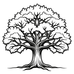  Charming Artwork of White Oak Tree