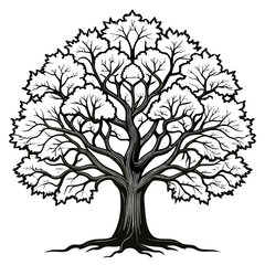  Stunning Bold Design of White Oak Tree