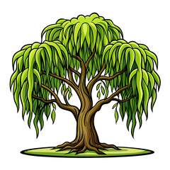  Striking Willow Tree Illustration
