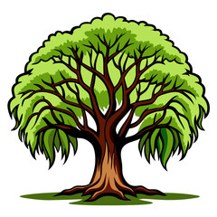  Artistic Willow Oak Tree Design