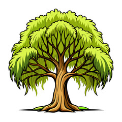  Stunning Outline of Willow Oak Tree