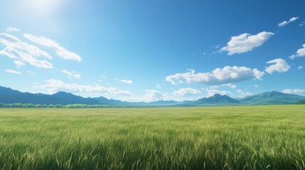 Serene vast wheat field against distant mountains beneath vibrant sky