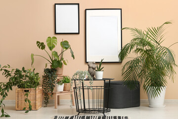Interior of room with table, pouf and houseplants near beige wall