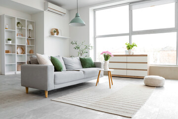Interior of light living room with grey sofa, shelf unit and plants