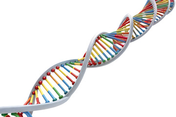 3d dna genome structure isolated on white background