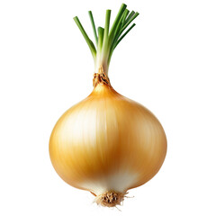 Crisp Onion Ready to Cook