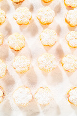 Lemon Spritz Cookie Sandwich with Cranberry Buttercream