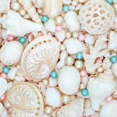 Seashells and colored oyster pearls background with white shells. Nature beach sea marine life decorative composition for summer greeting card.