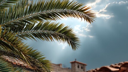 Powerful stormy weather scene with swaying palm trees