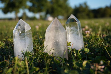 3 Clear Quartz Crystal Points in the Grass