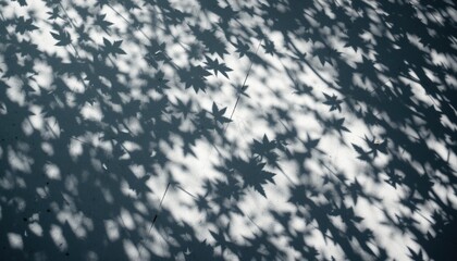 Obraz premium Intriguing play of shadow patterns from maple leaves on concrete surface urban street nature photography sunlit environment top-down view artistic concept