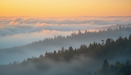 Breathtaking sunrise over misty forested hills nature landscape photography tranquil atmosphere scenic viewpoint