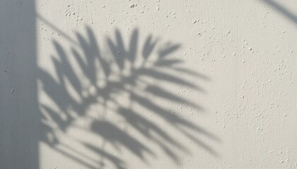 Shadow play of palm leaves on textured wall indoor setting photography minimalist aesthetic close-up perspective nature's art