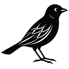 weaver birds vector sihouette