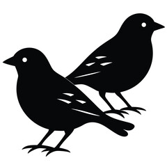 weaver birds vector sihouette