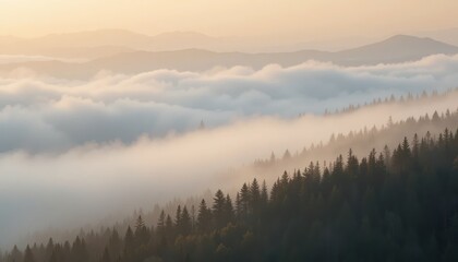 Fototapeta premium Serene sunrise over misty forests mountain range nature photography tranquil environment wide-angle view scenic beauty and calmness