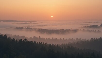 Fototapeta premium Breathtaking sunrise over misty forest nature landscape photography tranquil environment aerial view serenity concept